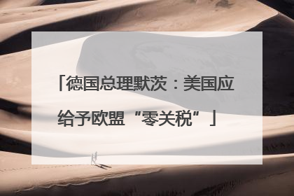 德国总理默茨：美国应给予欧盟“零关税”